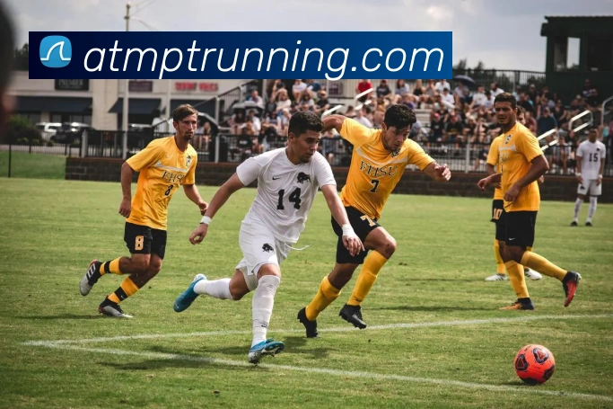体育赛事